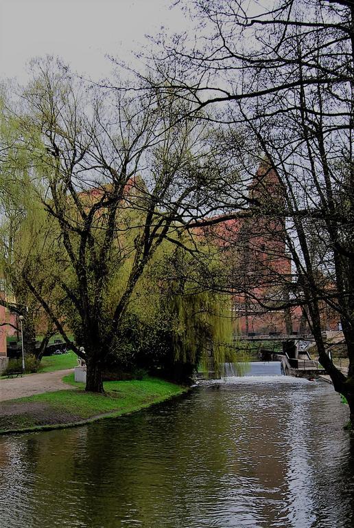 Apartamento 3-pokojowy Park - Location Olsztyn (Warmian-Masurian)